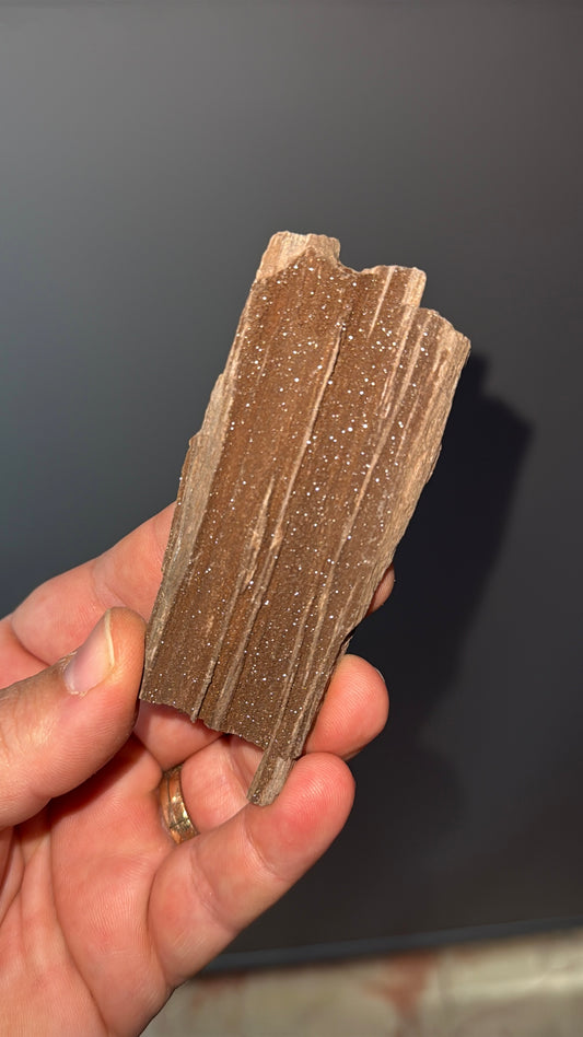 Triassic Permineralized Fossil Wood with Sparkling Druzy Crystals Lot