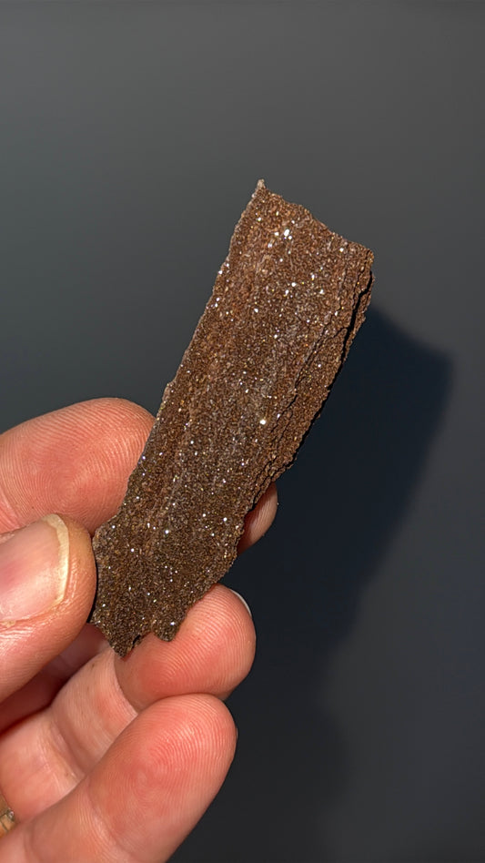 Triassic Permineralized Fossil Wood with Sparkling Druzy Crystals Lot