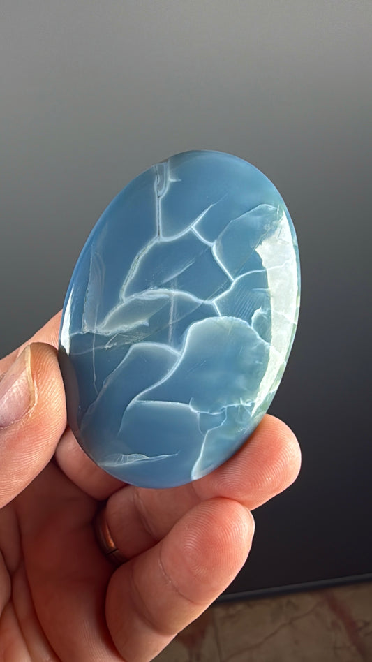 Owyhee Blue Opal Crystal Palm Stone Lot