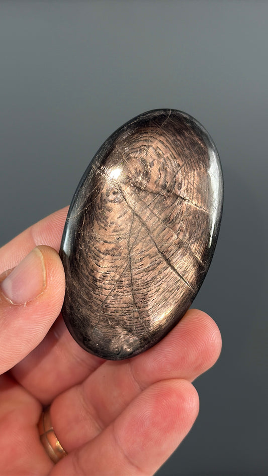 Hypersthene PalmStone Lot