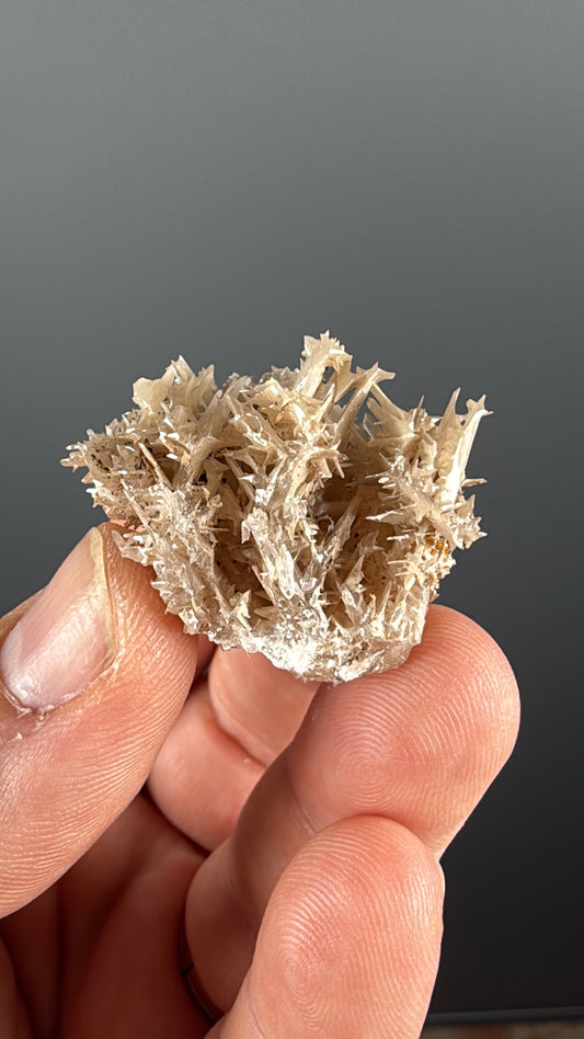 Reticulated Cerussite Specimen Lot