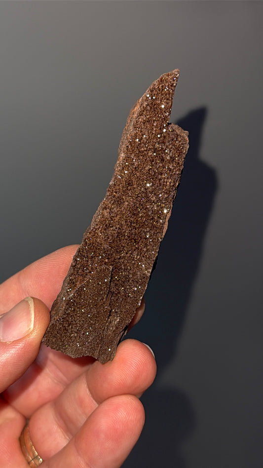 Triassic Permineralized Fossil Wood with Sparkling Druzy Crystals Lot