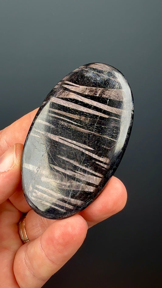 Hypersthene PalmStone Lot