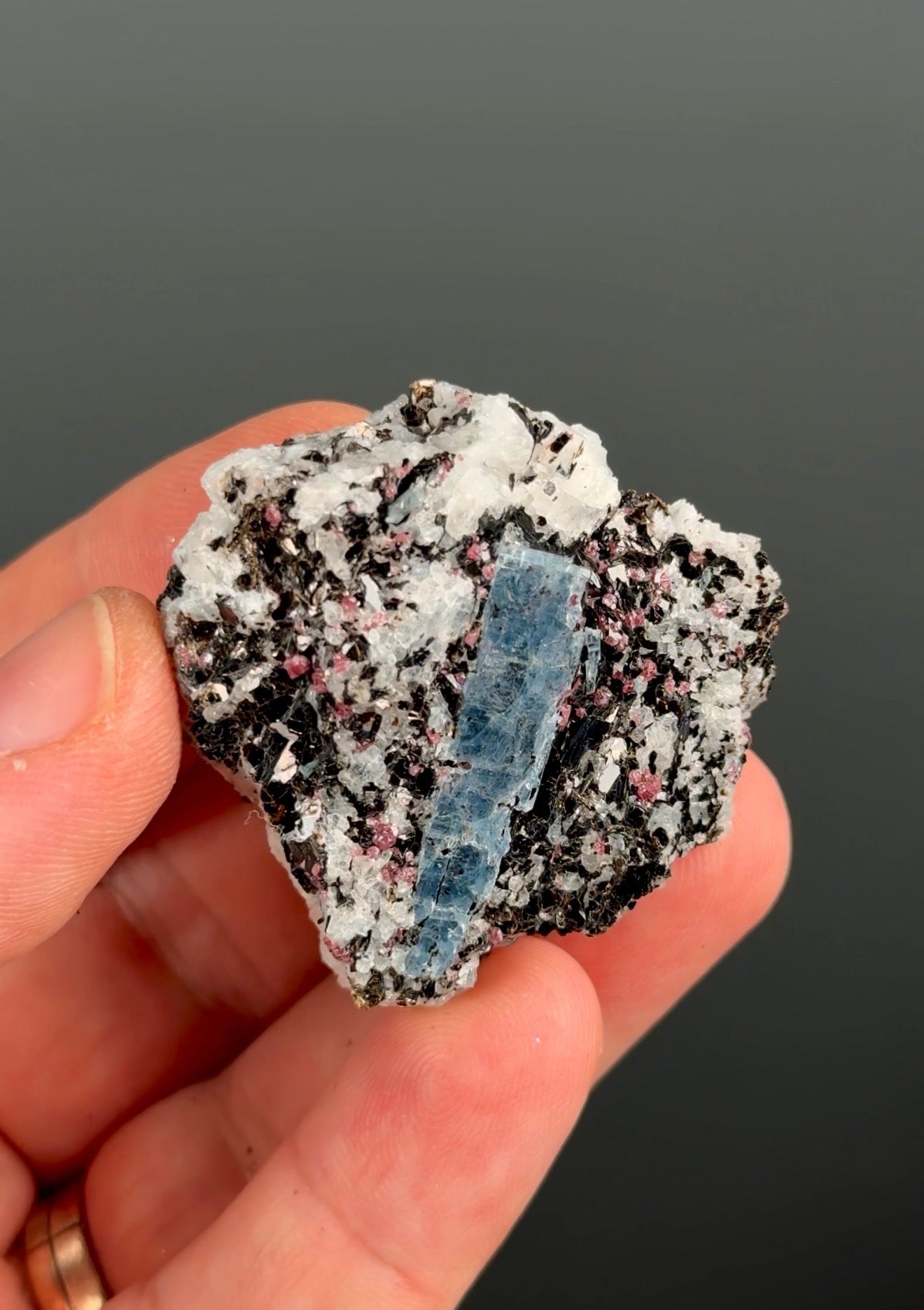 Kyanite with garnet, albite, biotite and Quartz Specimen Lot
