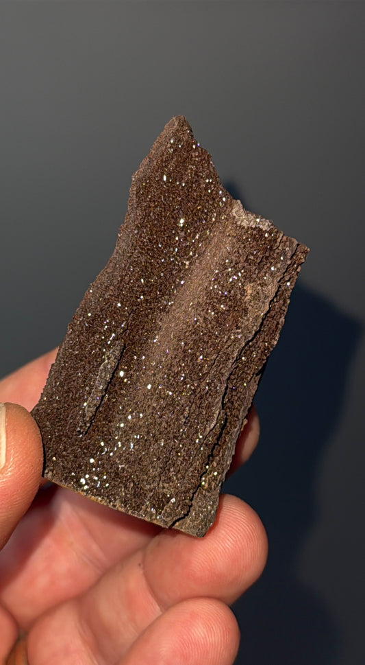 Triassic Permineralized Fossil Wood with Sparkling Druzy Crystals Lot