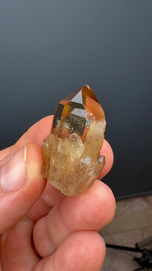 Natural Kundalini Citrine Lot