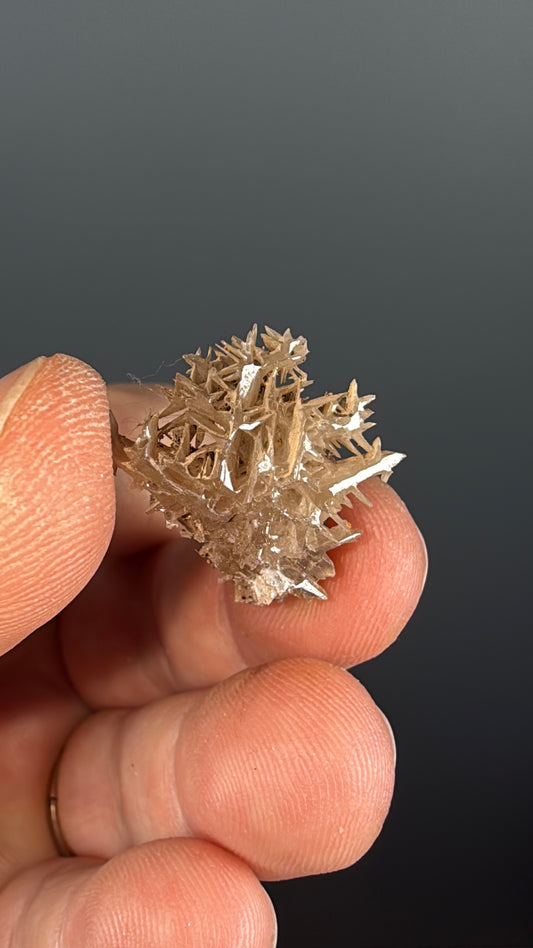 Reticulated Cerussite Specimen Lot