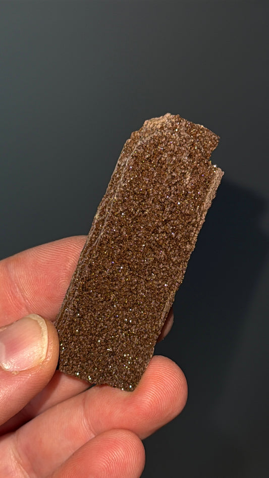 Triassic Permineralized Fossil Wood with Sparkling Druzy Crystals Lot