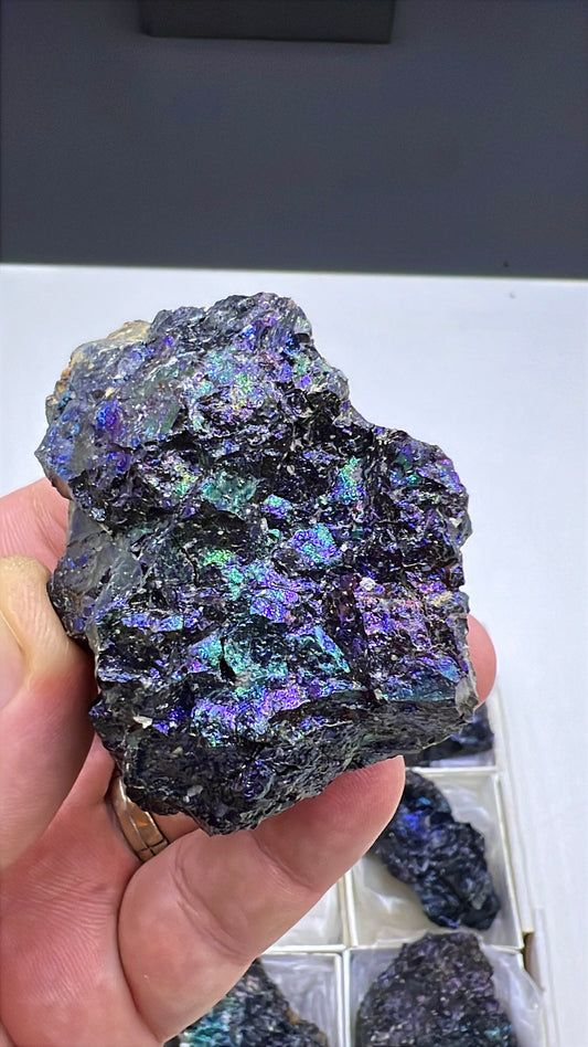Rainbow Chalcocite with Bornite Lot