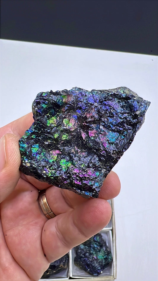 Rainbow Chalcocite with Bornite
Lot