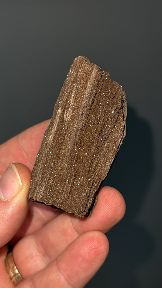 Triassic Permineralized Fossil Wood with Sparkling Druzy Crystals Lot