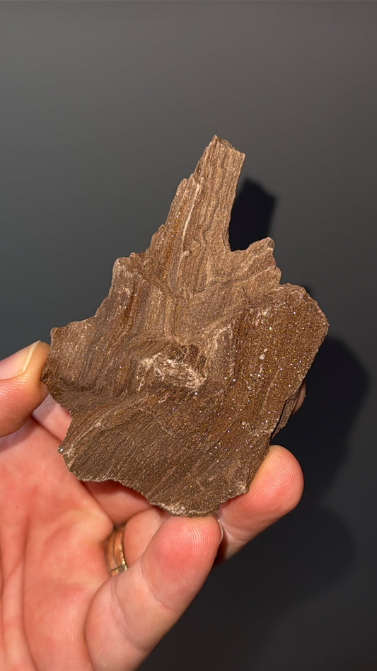 Triassic Permineralized Fossil Wood with Sparkling Druzy Crystals Lot