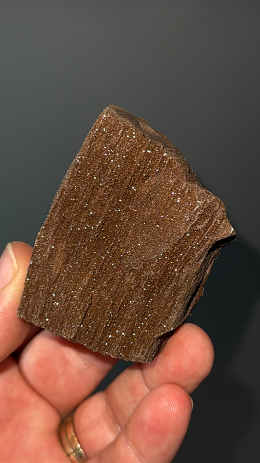 Triassic Permineralized Fossil Wood with Sparkling Druzy Crystals Lot