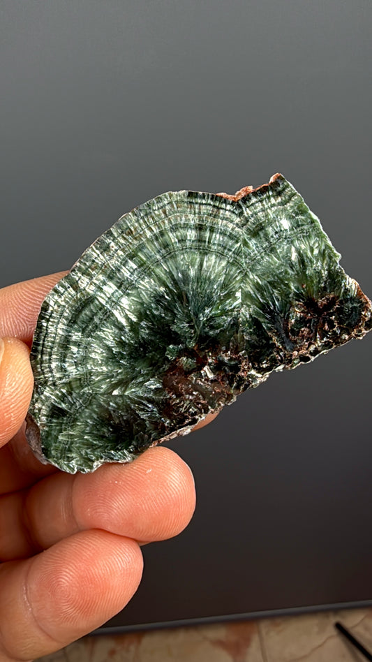 Forest Green Seraphinite Slab Lot