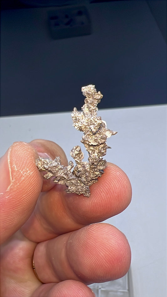 Arborescent Silver with White Calcite Specimen Lot