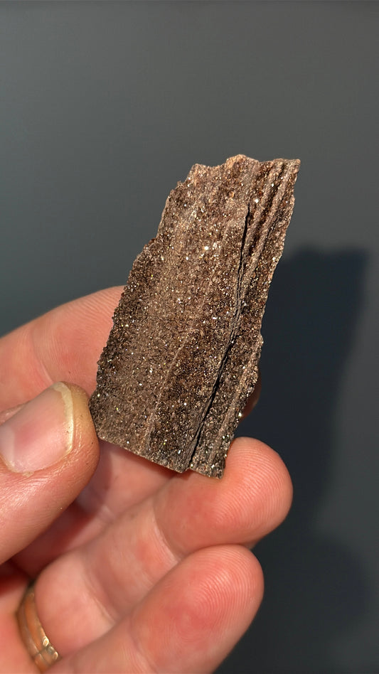 Triassic Permineralized Fossil Wood with Sparkling Druzy Crystals Lot