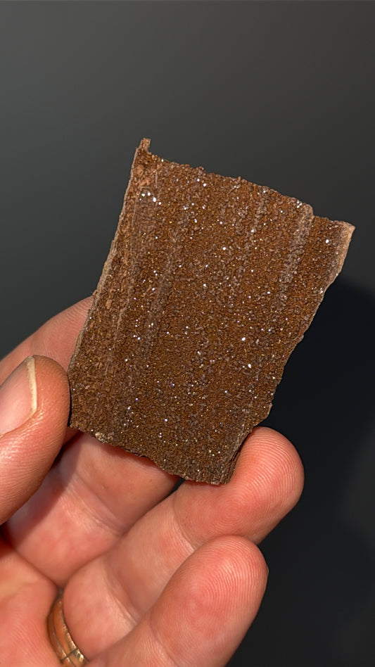 Triassic Permineralized Fossil Wood with Sparkling Druzy Crystals Lot