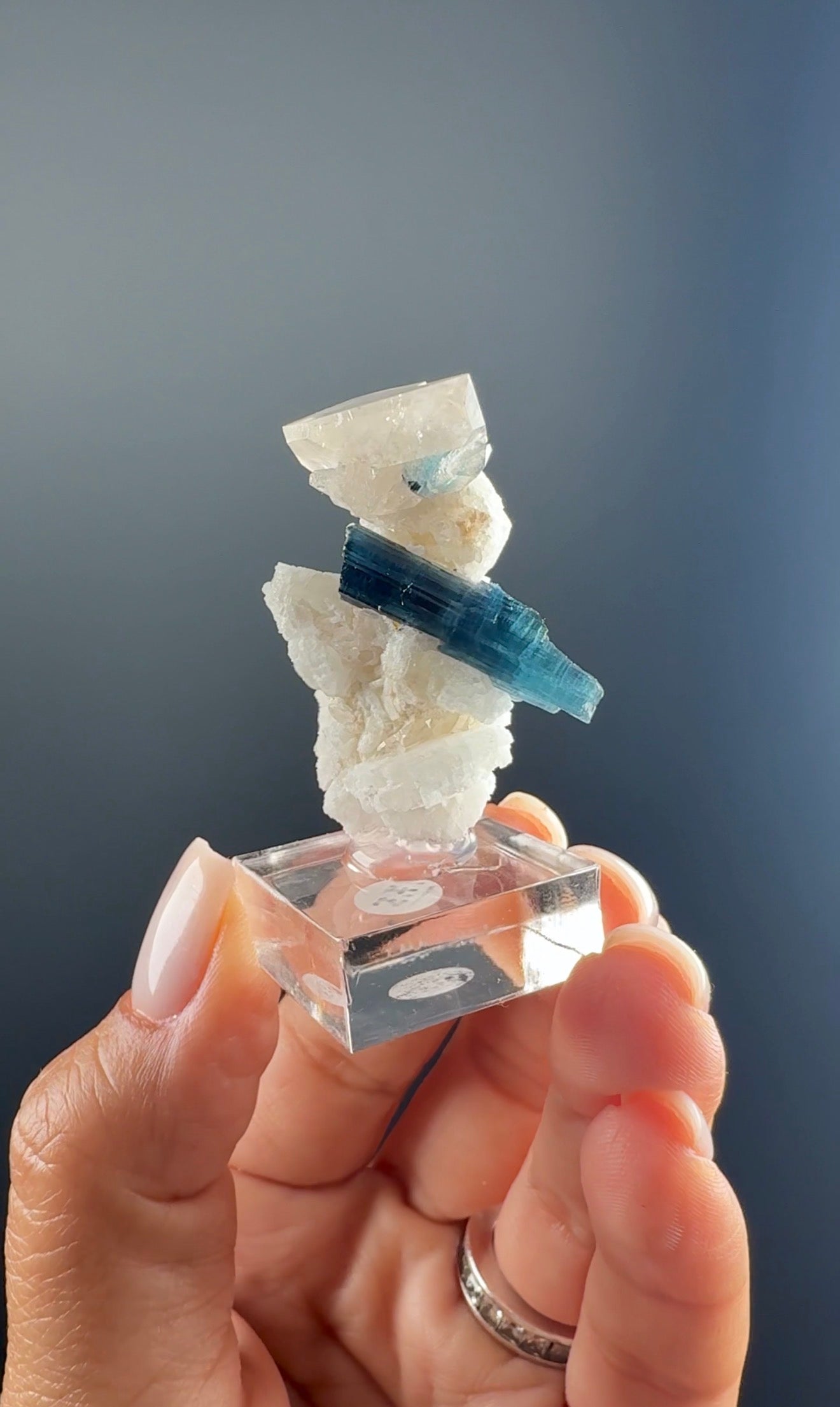 Blue Tourmaline Crystal on Quartz