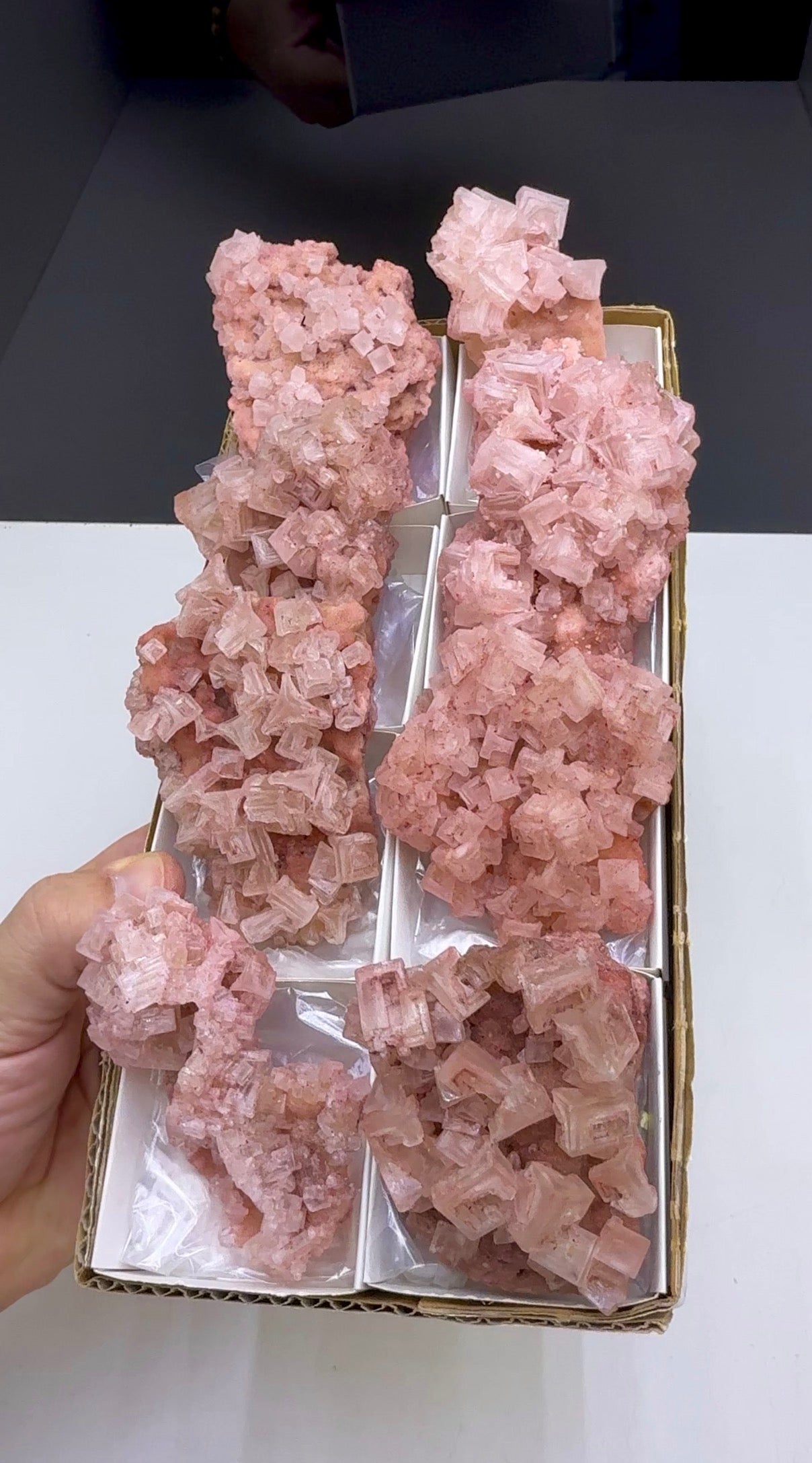 Pink Halite Crystal - 8 Pieces Lot