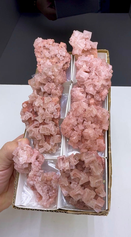 Pink Halite Crystal - 8 Pieces Lot