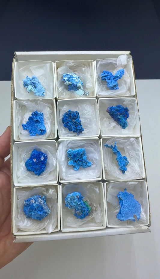 Blue Shattuckite Specimen Lot