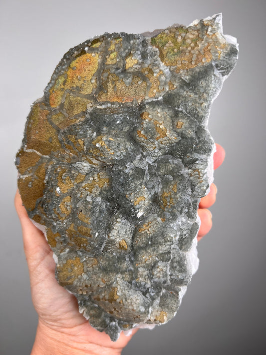 Cabinet Size!Chalcopyrite on UV Mangano Calcite From Kosovo