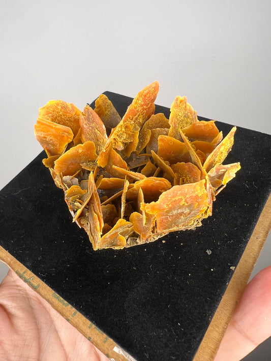 Perfect for Collection! Orange Wulfenite Specimen