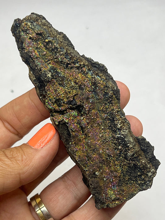 Rarest!New Find! Fossil Wood with Sparkling Chalcopyrite Crystal, Marcasite -mineralized Wood, Permineralized Wood with Marcasite