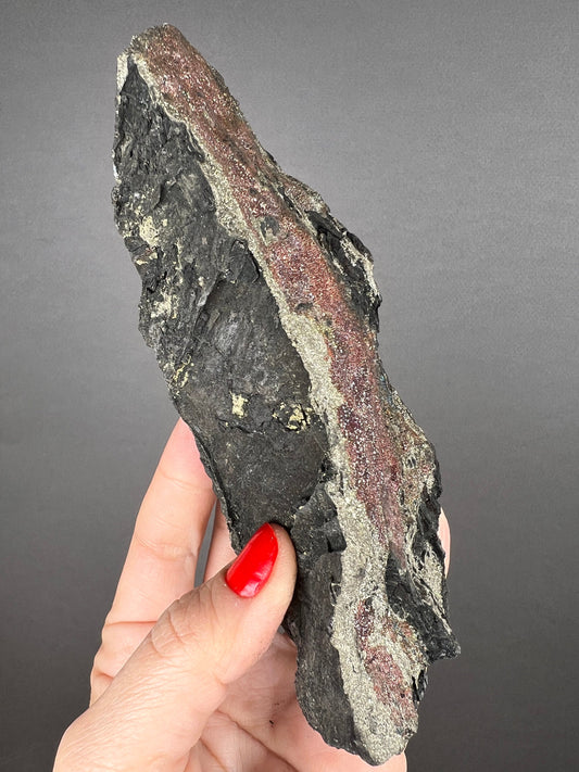 New Find!Fossil Wood with Sparkling Pyrite Crystal, Pyrite-mineralized Wood, Permineralized Wood with Pyrite