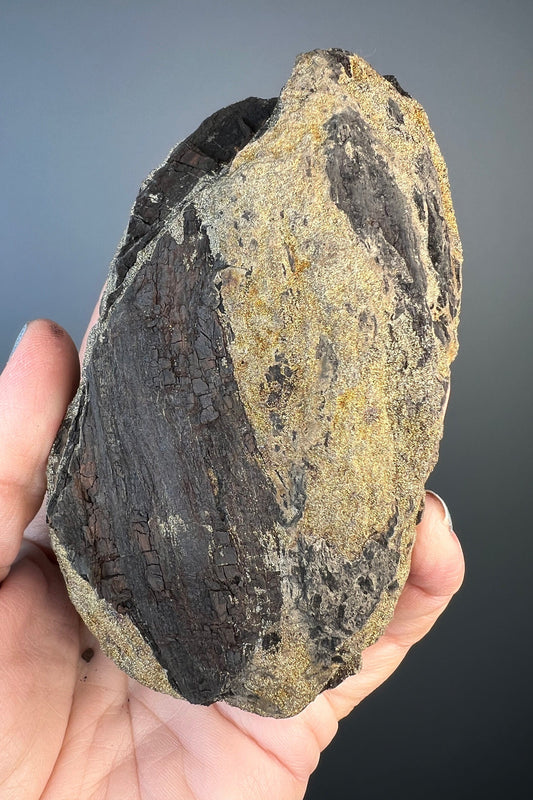 New Find!Fossil Wood with Sparkling Pyrite Crystal, Pyrite-mineralized Wood, Permineralized Wood with Pyrite