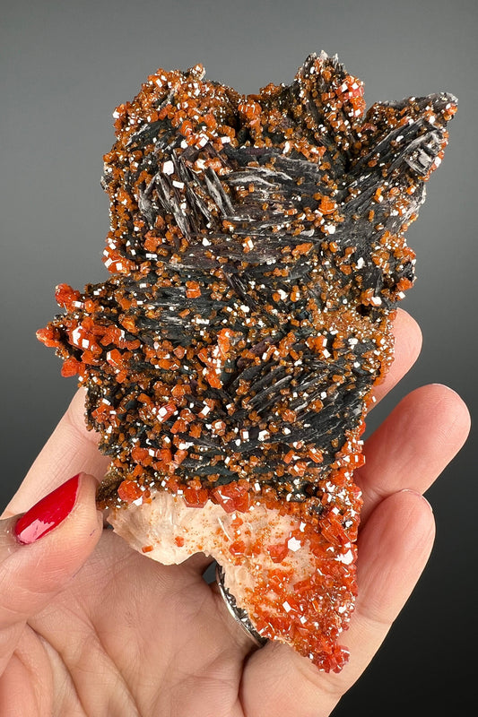 Fresh Arrival!Black Barite With Red Vanadinite Crystal Specimen From Morocco