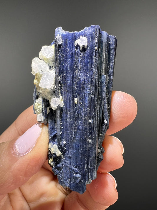 For Collection! Indicolite Tourmaline Crystal, Indicolite Tourmaline with White Cubic Apatite Crystal