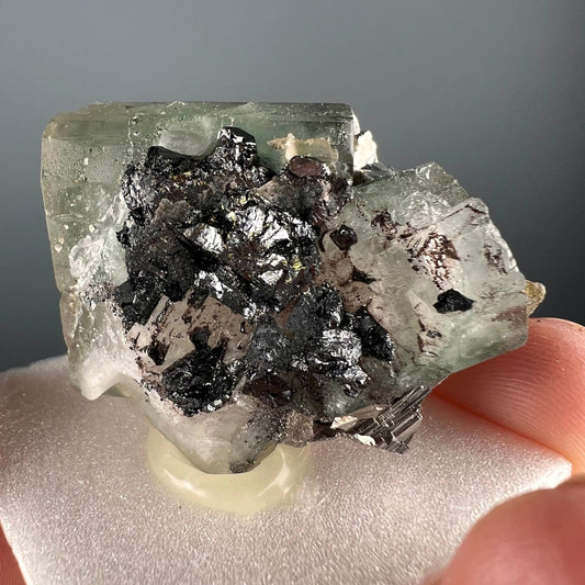 For Collection! Apatite with Pyrite Crystal from Portugal