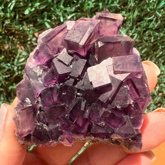 Amazing Piece!Purple Fluorite Specimen with Phantoms From Okorusu,Namibia