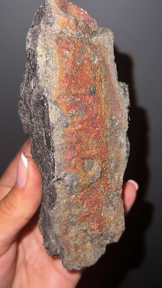 New Find!Fossil Wood with Sparkling Pyrite Crystal, Pyrite-mineralized Wood, Permineralized Wood with Pyrite