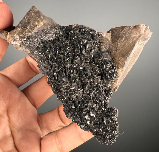 Black Tourmaline with Smoky Quartz Crystal Specimen