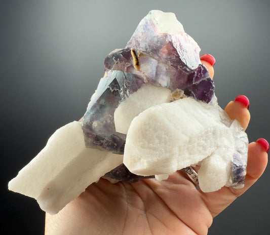 Dream! Milky Quartz Crystal Specimen with Fluorite