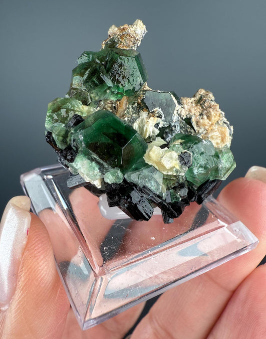 Fluorite with Black Tourmaline Crystal (Lollipop Pocket), Erongo, Namibia
