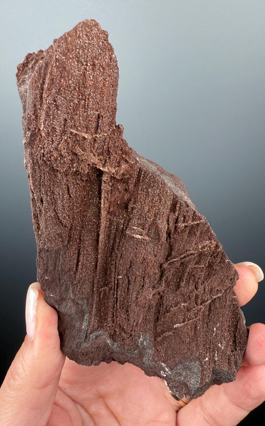 Rare! Triassic Permineralized Fossil Wood with Sparkling Druzy Crystals From Germany