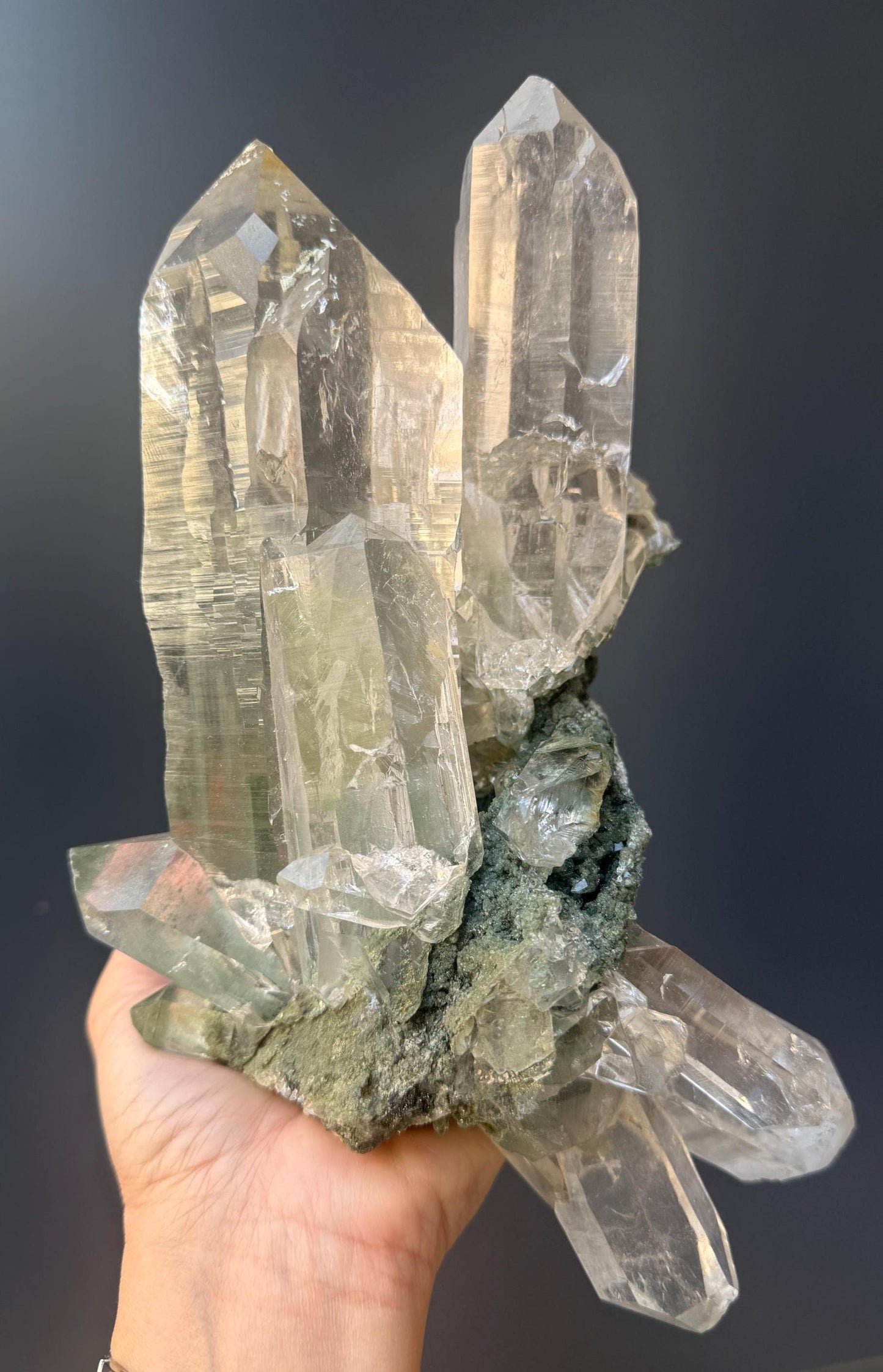 Amazing Energy! Himalayan Clear Quartz with Golden Rutile and Green Chlorite from Himalayas