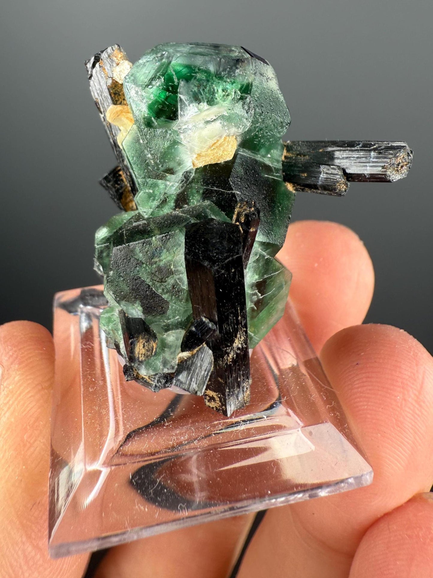 Fluorite with Black Tourmaline Crystal (Lollipop Pocket), Erongo, Namibia