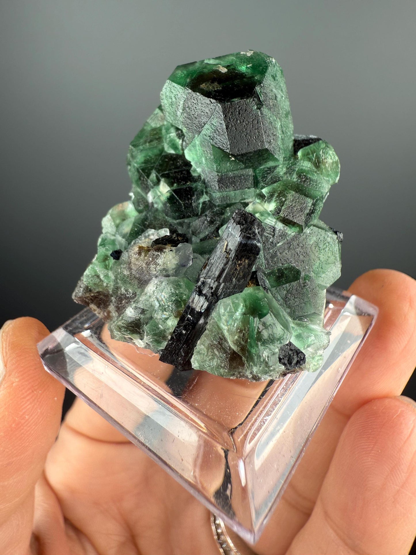 Fluorite with Black Tourmaline Crystal (Lollipop Pocket), Erongo, Namibia