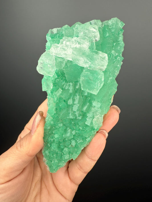 Rare Formation! Transparent Gemmy Cubic Green Halite with Gypsum Crystal Specimen from Poland