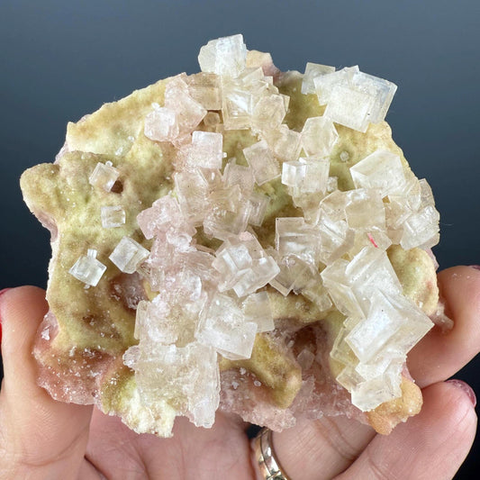 New Find! Bicolor Halite Crystal Rainbow Halite on Trona, Halite Crystal