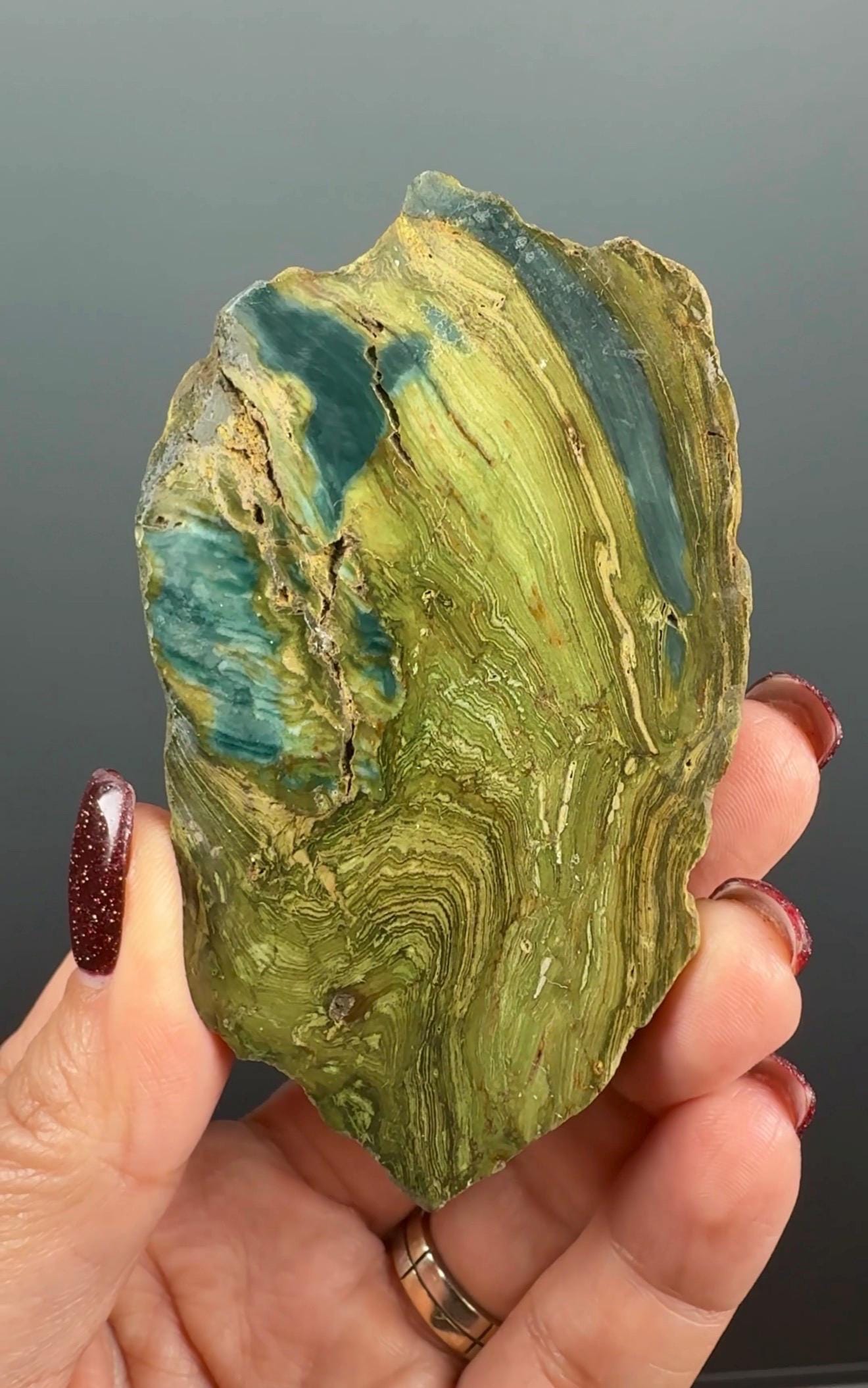 Rare, Bog Wood (Larsonite) from Nevada, Oregon USA