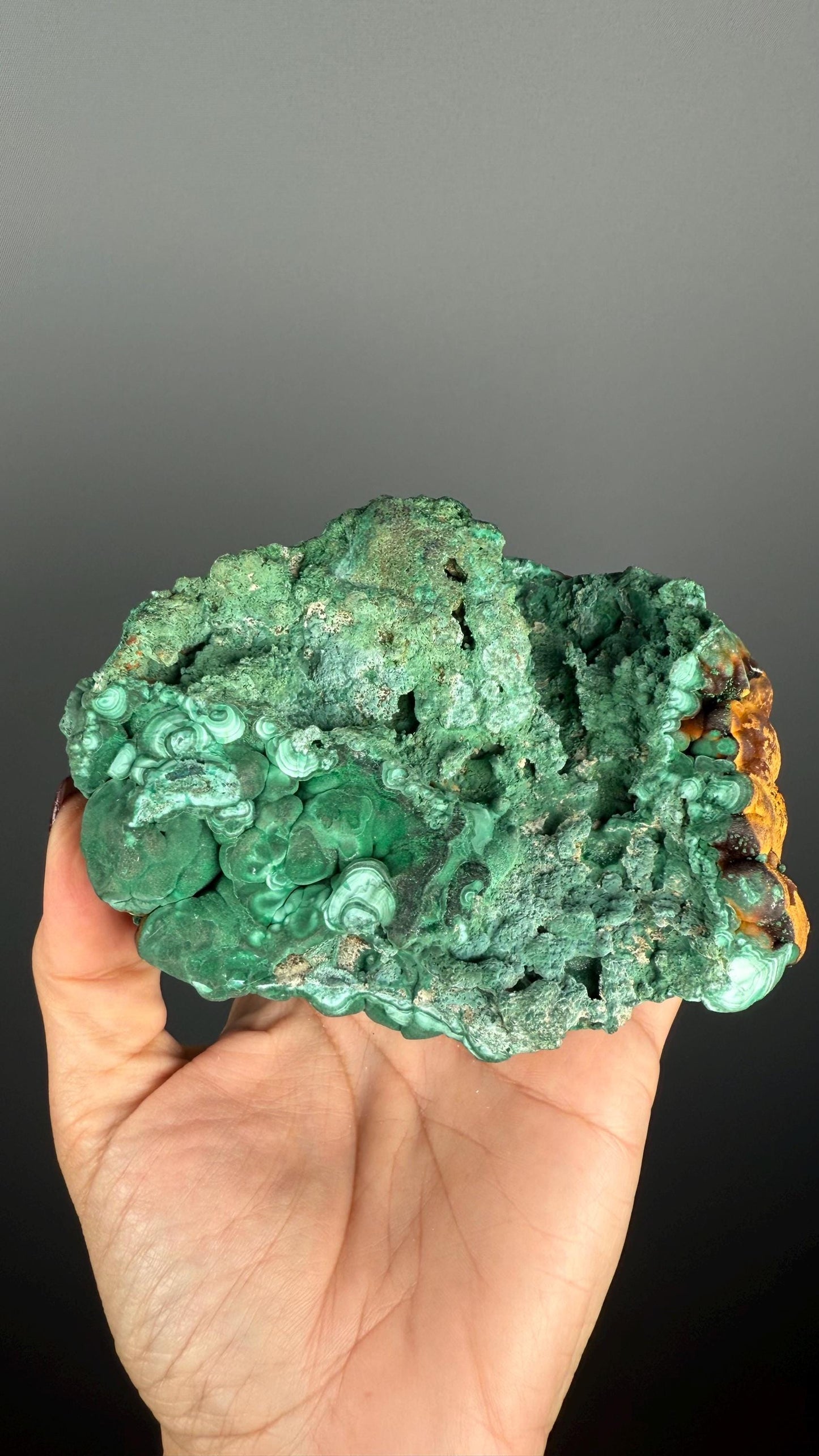Spheroidal Clusters of Botryoidal Malachite Covered in Coppery Layer of Hematite