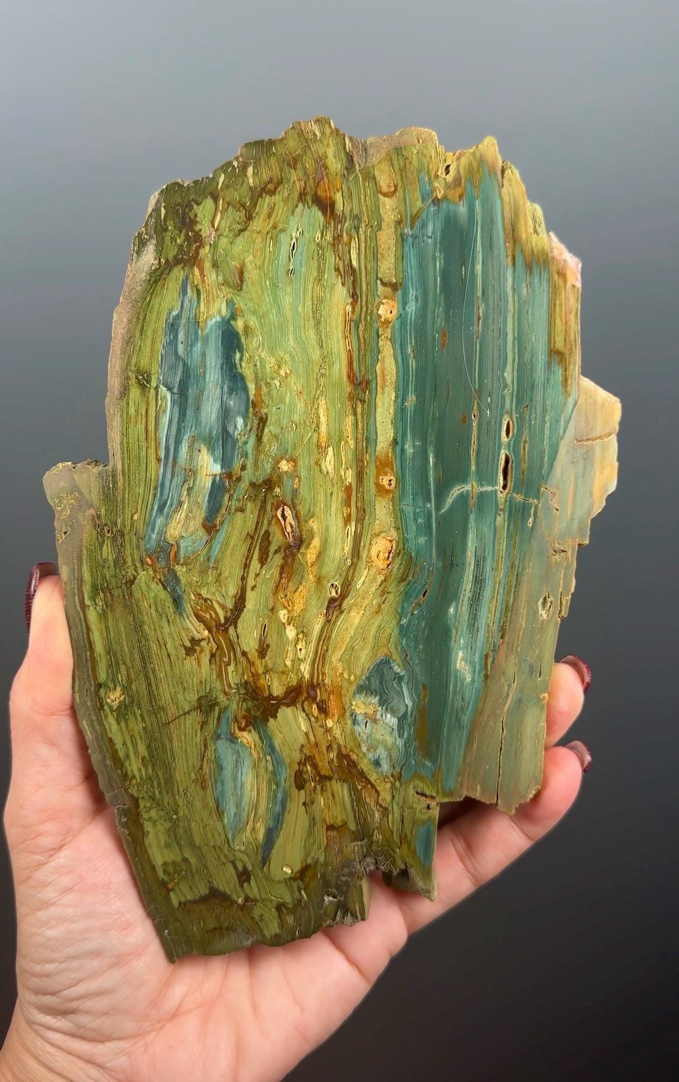 Rare, Bog Wood (Larsonite) from Nevada, Oregon USA (Big Size)