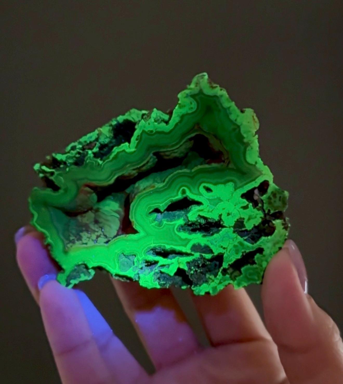 Rare Red Fox Agate Specimen: UV Reactive, Patagonia Origin