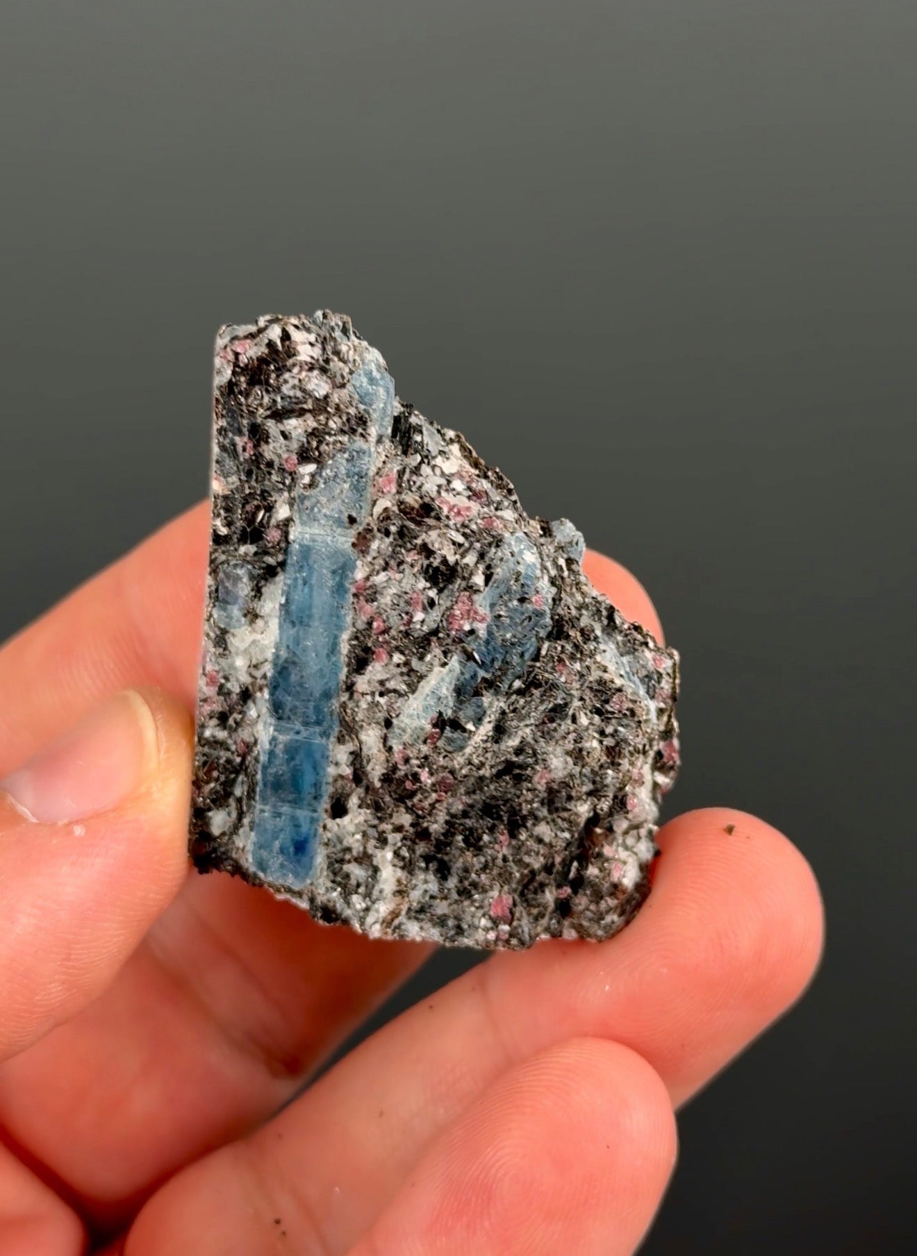 Kyanite with garnet, albite, biotite and Quartz Specimen Lot