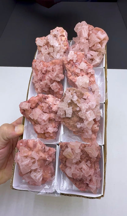 Pink Halite Crystal - 8 Pieces Lot